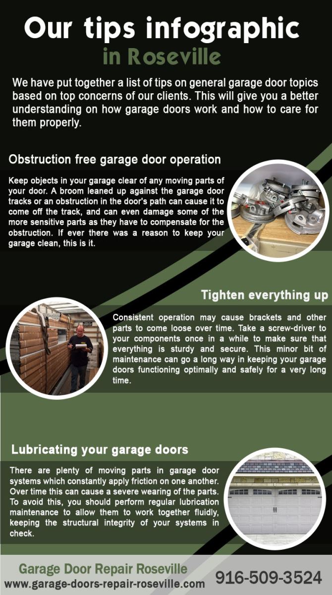 Garage Door Repair Roseville Infographic